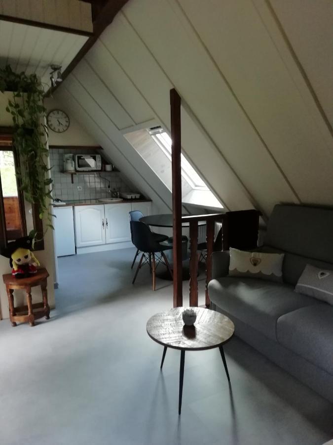 Romantic Studio Vacances Labaroche Eksteriør billede