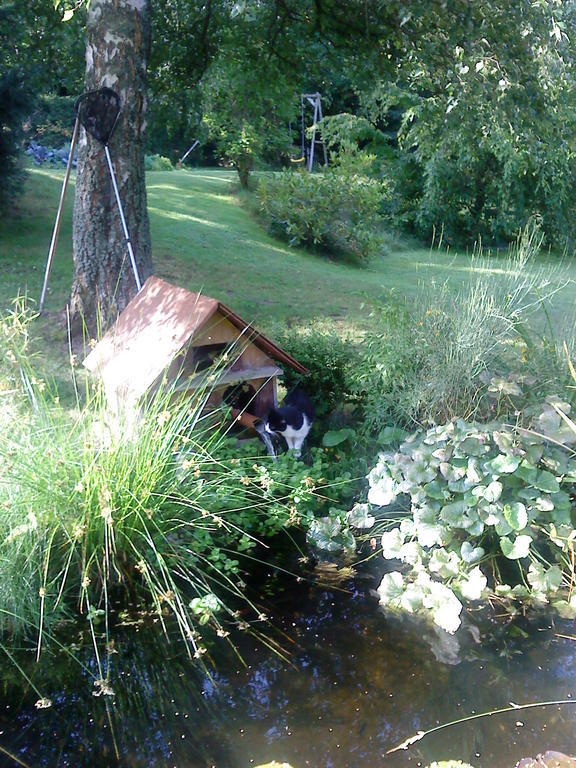 Romantic Studio Vacances Labaroche Eksteriør billede